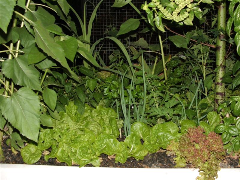 DSCF3834 (Medium).JPG