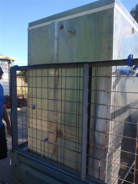 P3160184 (Medium).JPG