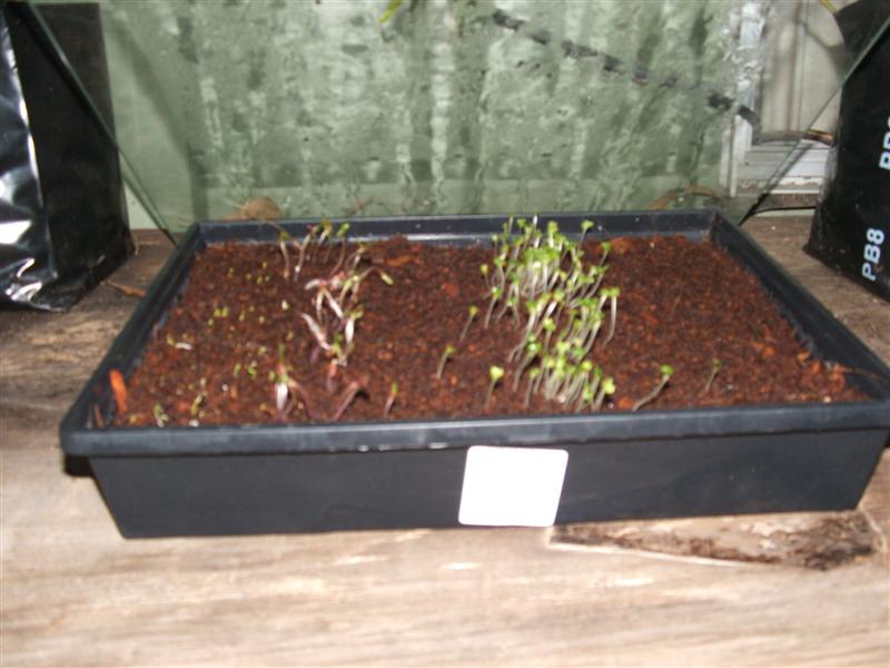 DSCF3839 (Medium).JPG