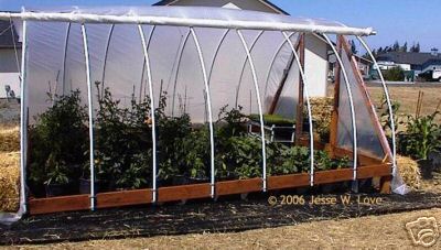 rollup-greenhouse.jpg