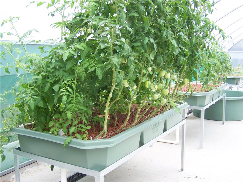 100_6033 (Custom).JPG