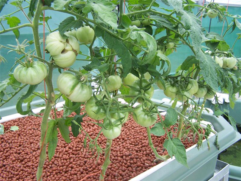 100_6027 (Custom).JPG