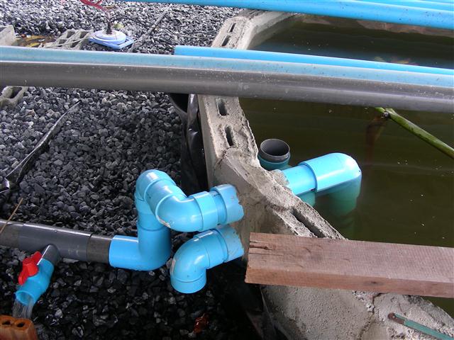 DSCN4056 (Small).JPG