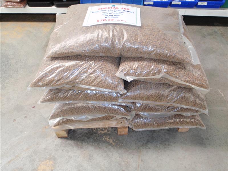 P3200157 (Medium).JPG