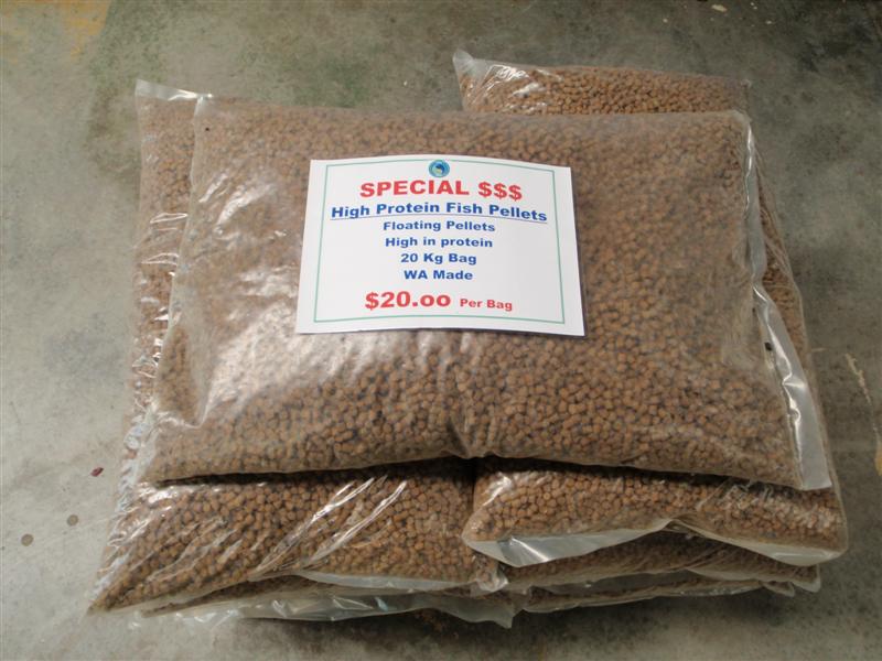 P3200156 (Medium).JPG