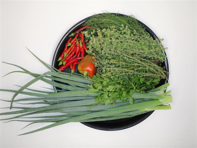 P3090147 (Medium).JPG