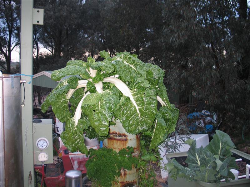 IMG_2626 (Medium).JPG