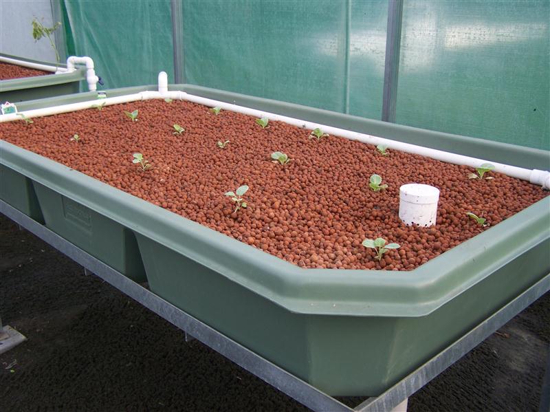 100_6040 (Custom).JPG