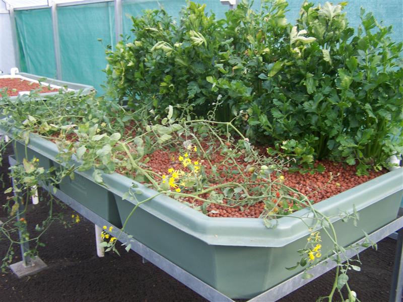 100_6041 (Custom).JPG