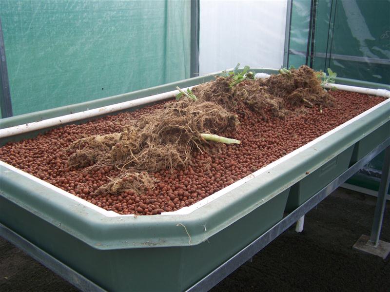 100_6042 (Custom).JPG