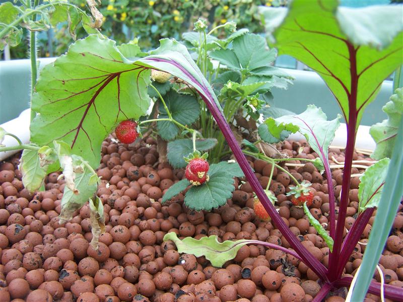 100_5948 (Custom).JPG