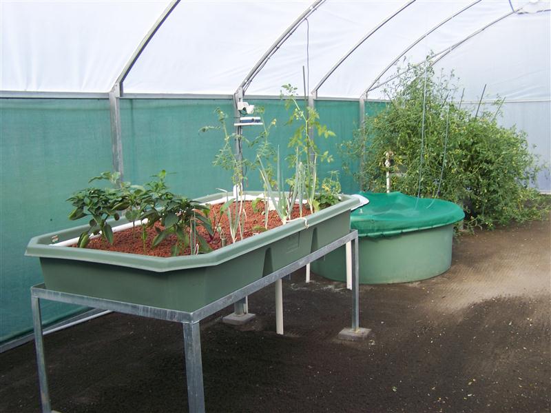 100_6036 (Custom).JPG