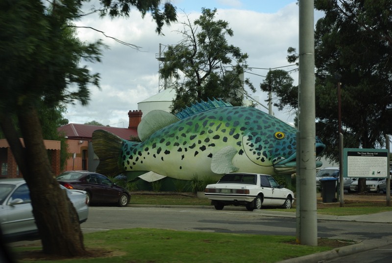 _IGP2324 (800x536).jpg