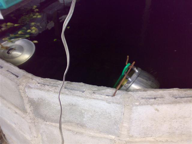 27032011203 (Small).jpg