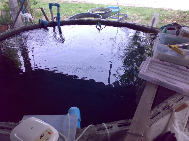 27032011207 (Small).jpg