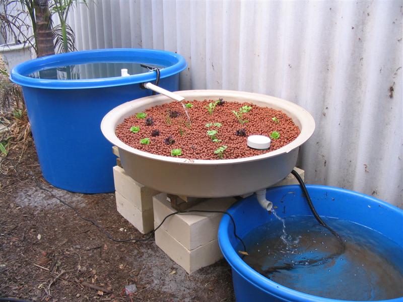 IMG_2094 (Medium).jpg