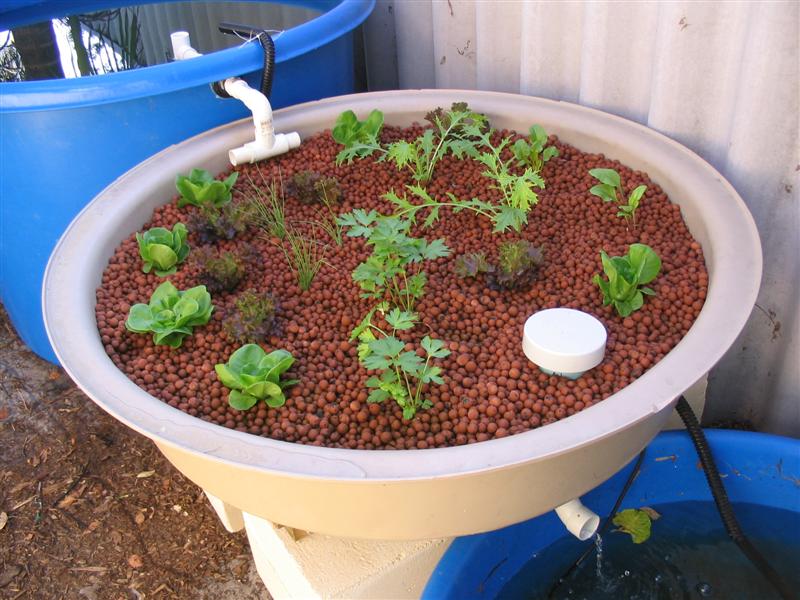 IMG_2114 (Medium).jpg