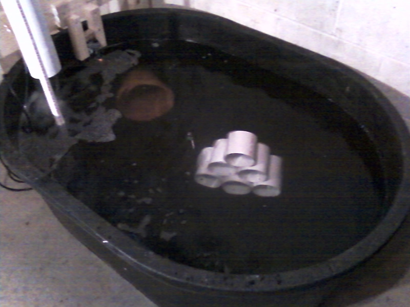 fish playground 3.jpg