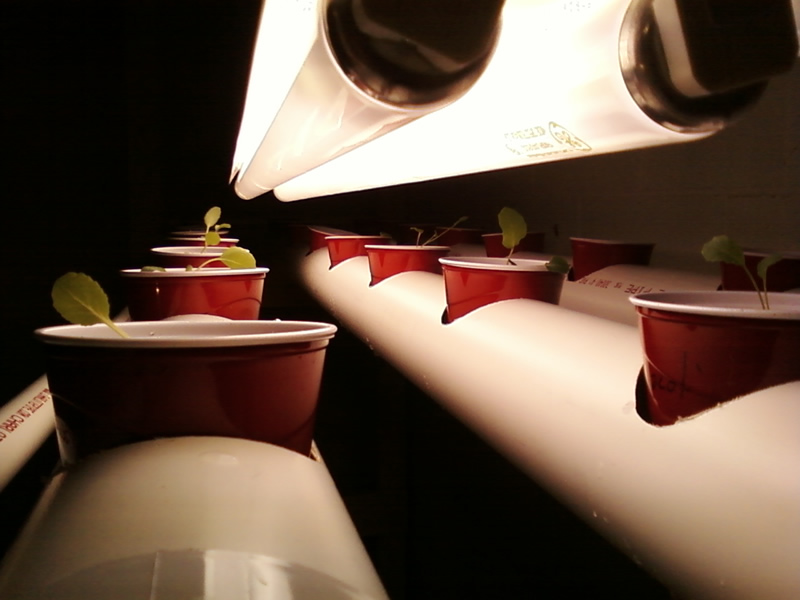 moved lighting down.jpg