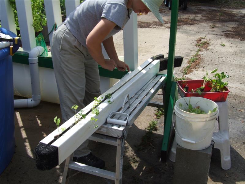 Need a higher bench (Medium).JPG