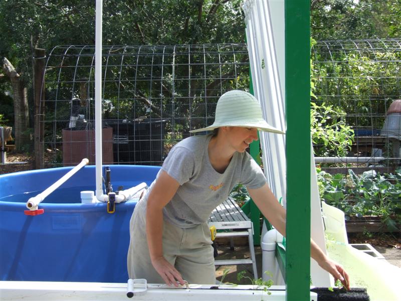 Planting 3 (Medium).JPG