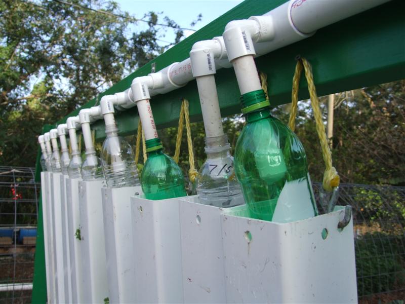 mom likes green bottles better (Medium).JPG