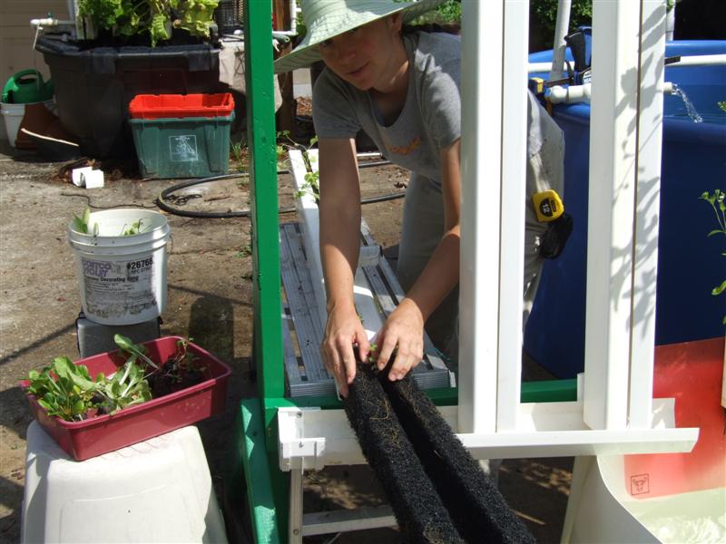 planting 5 (Medium).JPG