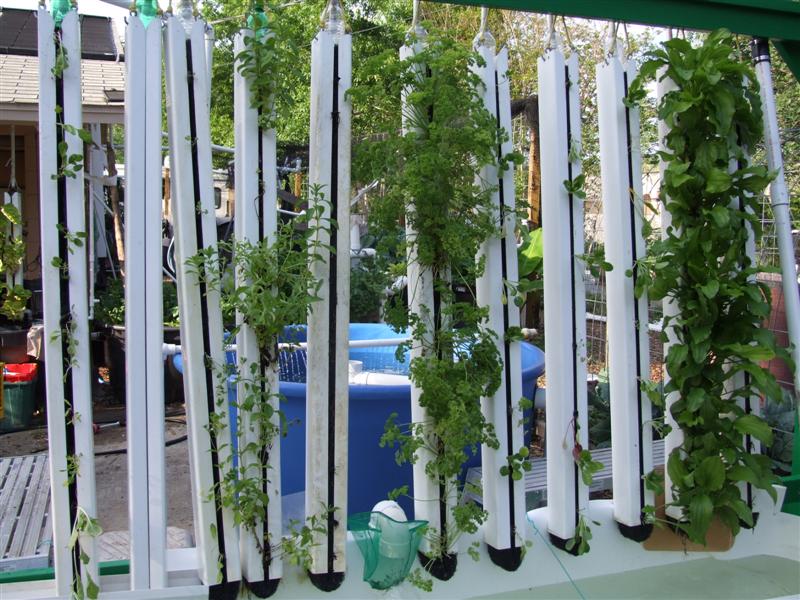 Planted towers in evening (Medium).JPG