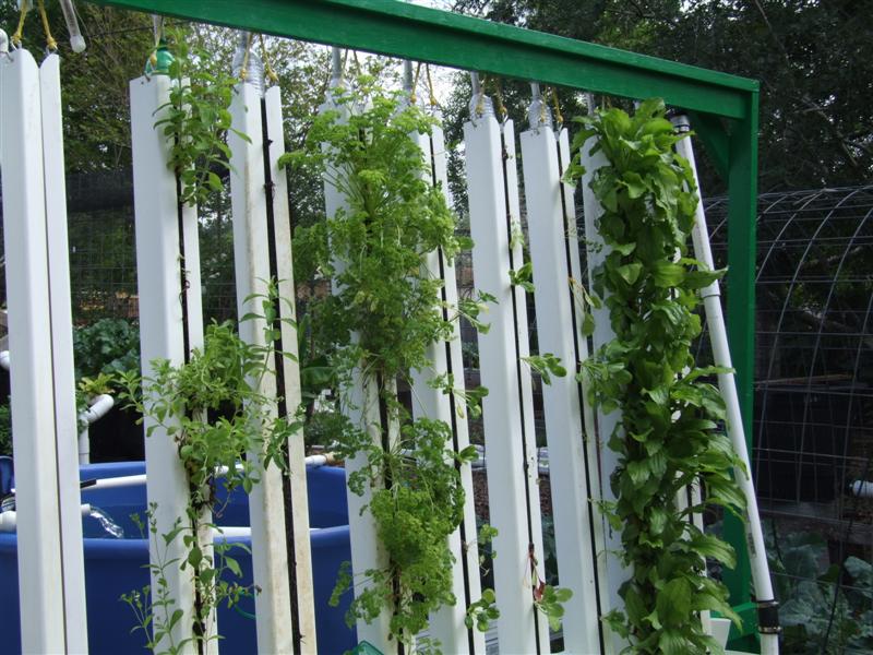 Planted towers (Medium).JPG