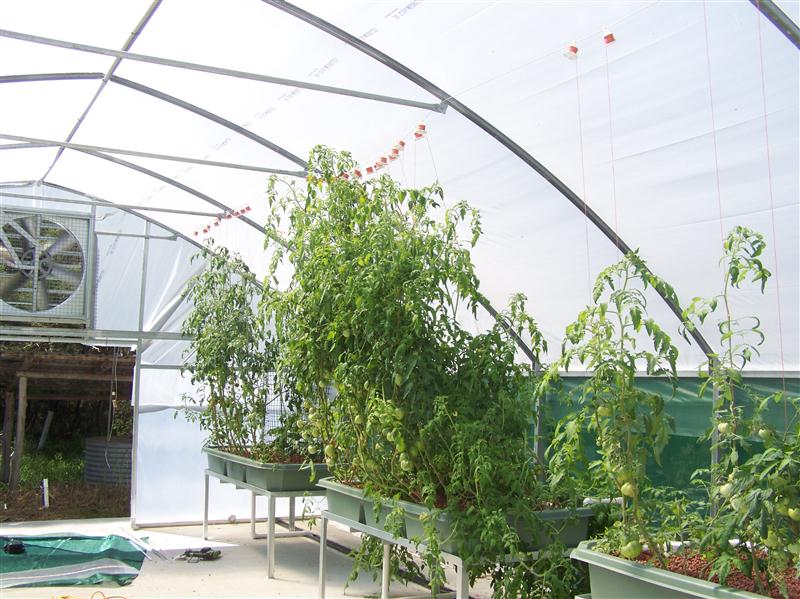 100_6062 (Custom).JPG