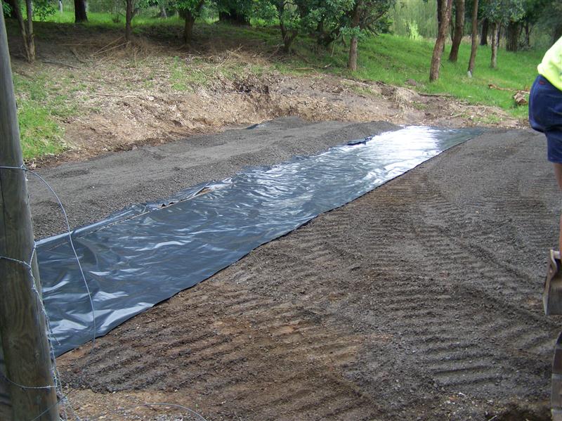 100_6049 (Custom).JPG