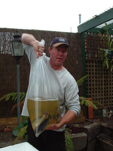 FishAquaponics 007.jpg