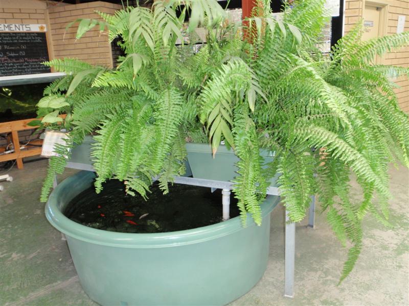 P3310179 (Medium).JPG