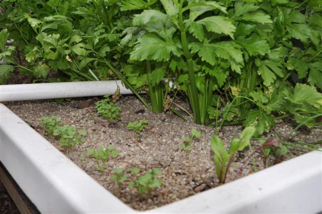 Wednesday 30th March 002 (Small).jpg