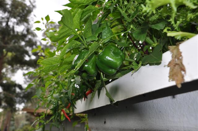 Wednesday 30th March 004 (Small).jpg