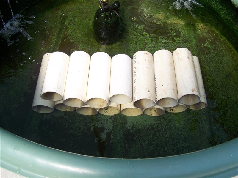 100_6081 (Custom).JPG