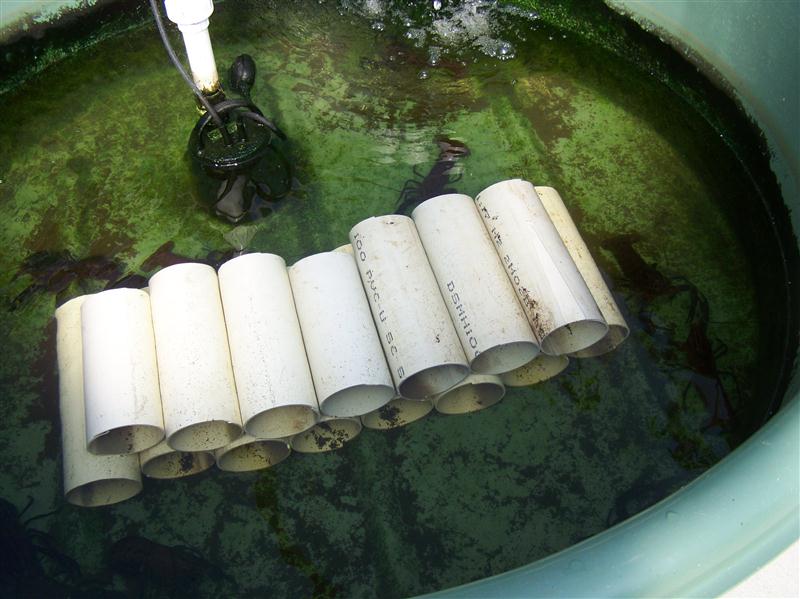 100_6089 (Custom).JPG