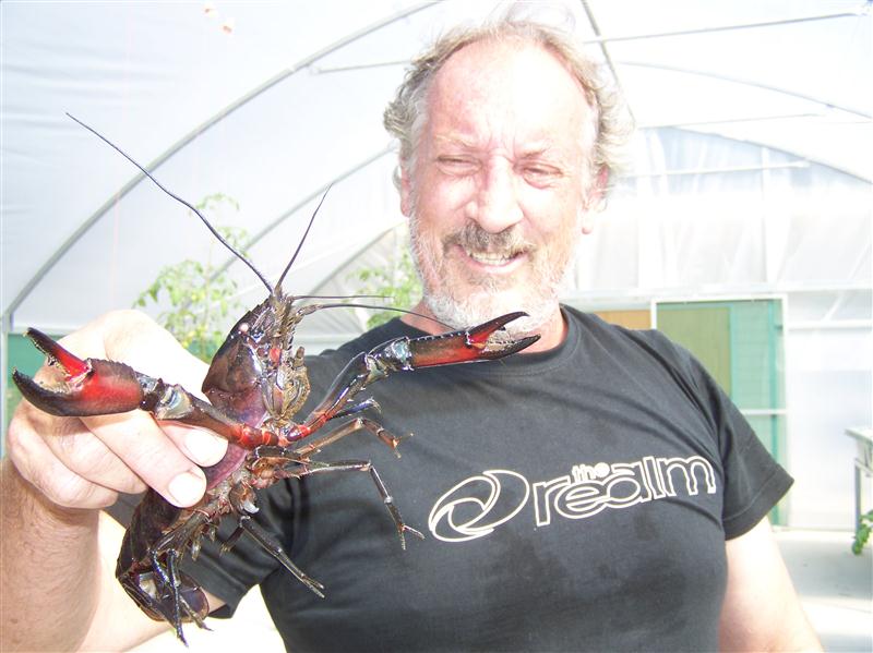 100_6084 (Custom).JPG