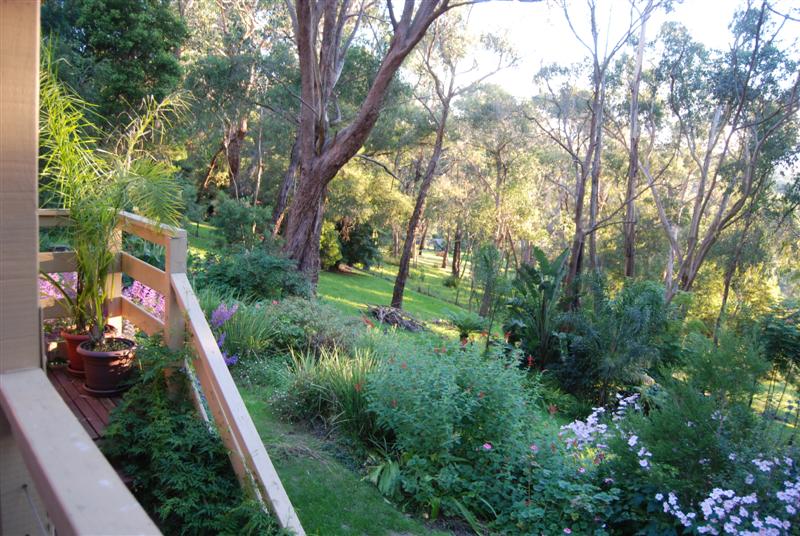 melbourne day 4 107 (Medium).jpg