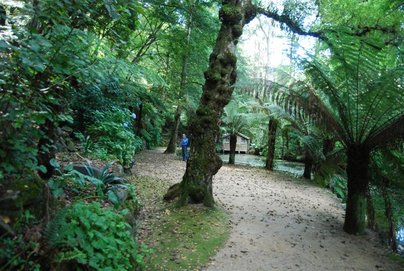 Picture 262 (Medium).jpg