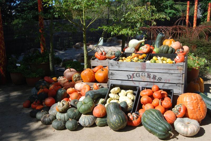 melbourne end 220 (Medium).jpg