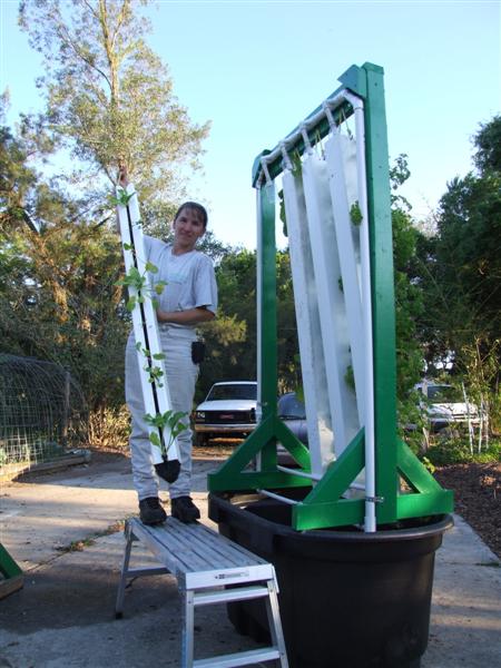 t100-access3 (Medium).JPG