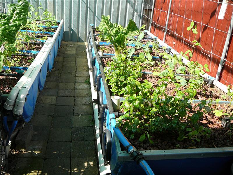 P1040845 (Custom).JPG