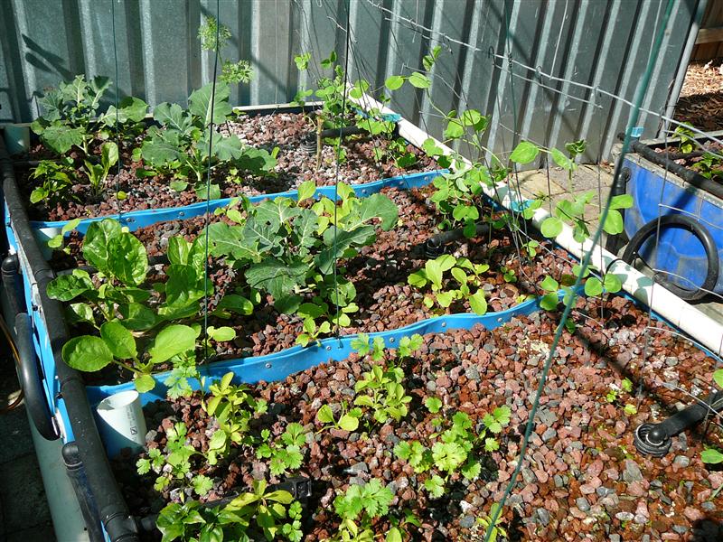 P1040844 (Custom).JPG