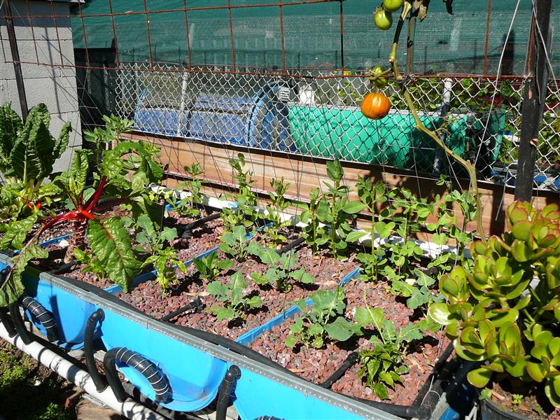 P1040842 (Custom).JPG