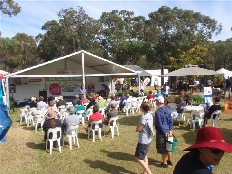 P4090350 (Medium).JPG