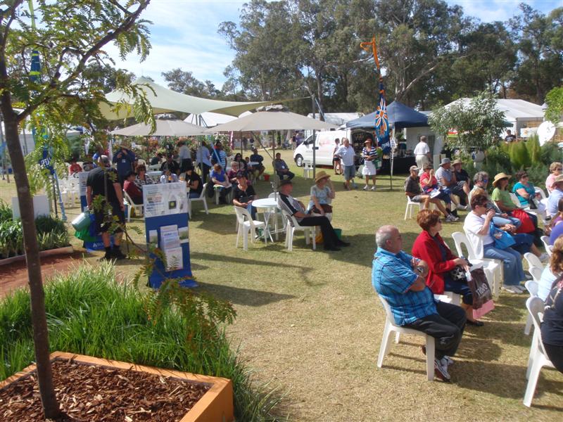 P4090354 (Medium).JPG