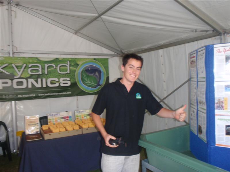 P4100362 (Medium).JPG