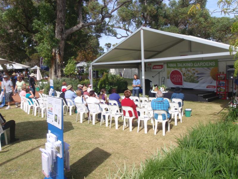 P4090349 (Medium).JPG