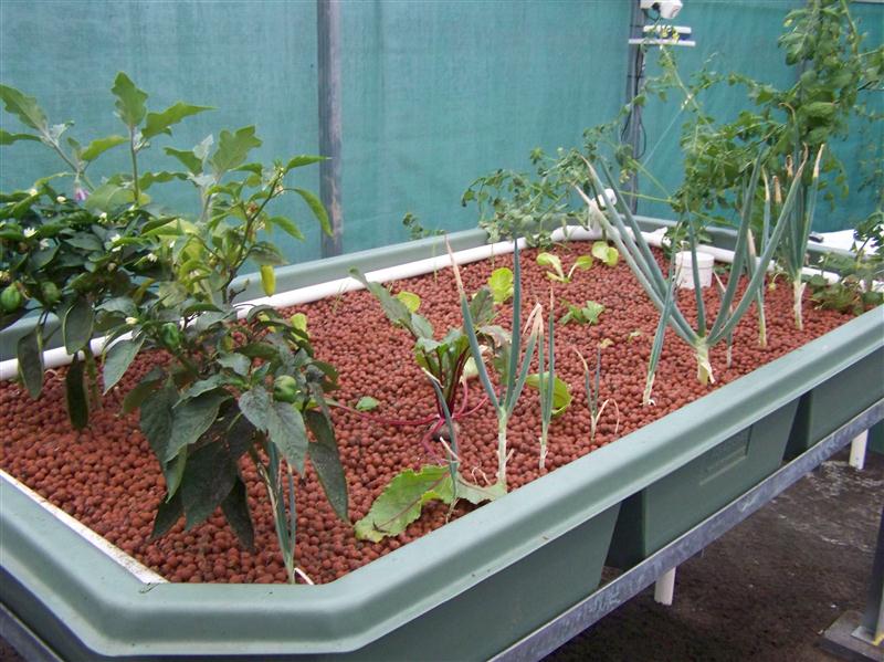 100_6121 (Custom).JPG